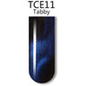 iGel 3D Cat Eye Gel Polish - #TCE11 Tabby / 0.5 oz.
