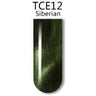 iGel 3D Cat Eye Gel Polish - #TCE12 Siberian / 0.5 oz.