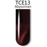iGel 3D Cat Eye Gel Polish - #TCE13 Abyssinian / 0.5 oz.