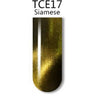 iGel 3D Cat Eye Gel Polish - #TCE17 Siamese / 0.5 oz.