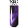 iGel 3D Cat Eye Gel Polish - #TCE19 Sphynx / 0.5 oz.