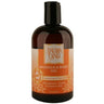Jasmine & Clementine Body Massage Oil 12 oz. / 6 Pack - Gifts / Wedding Favors / Retail by Aromaland