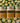 Jellyness Chamomile Jelly Mask / 79.3 oz. Total = 26.45 oz. - 750 Grams Each X 3 Containers by Waxness