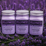 Jellyness Lavender Jelly Mask / 79.3 oz. Total = 26.45 oz. - 750 Grams Each X 3 Containers by Waxness