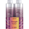Joico Defy Damage Summer Liter Duo