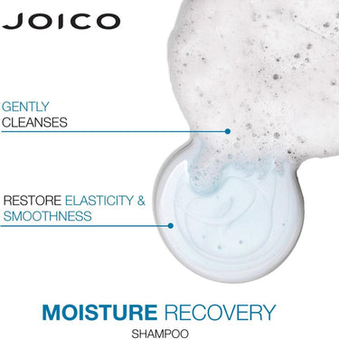 Joico Moisture Recovery Shampoo / 128 oz. - 1 Gallon