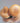 Knobble II by Pressure Positive