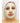 Lavender Calming Soft Mask / 4.4 Lbs. (2 Kilograms) Bulk Pack by Endear Skin Care Solutions