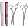 Left Handed 4 Piece Styling Kit by Gold Magic
