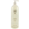 Lemongrass Cleansing Gel / 16 oz. by Ayur-Medic Skincare