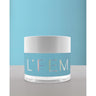 L'Fem Dip Acrylic Powder 2 oz. - High-Shine Finish - #045