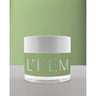 L'Fem Dip Acrylic Powder 2 oz. - High-Shine Finish - #049