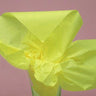 Limon Tissue Paper 20"x30" / 480 Sheets
