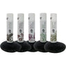 Apothecary Lip Balms - Vanilla Mint