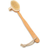 Long Handle Boar Brush with Removable Handle