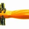 Luxor Wood Handle Collection - Waterwoods Round Boar Brush / 1.5" (B202/N)