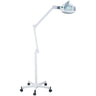 Malen LED 5X Magnifying Lamp with Roller Stand by Silver Spa
