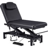 Mar Egeo 3 / 2-Motor Electric Medical Spa Treatment Bed / Available in Black, White, Beige, and Gray by DIR Salon Furniture