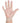 Medgluv Vinyl Disposable Gloves, Powder-Free (100 / box)