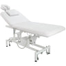 Meishida Electric Facial / Tattoo Chair with 2 Motors