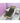 Mesh JT Mat Full 7224 Soft InfraMat Pro | Far Infrared Radiation Therapy (FIR) + Negative Ion Therapy + Gemstone Therapy: Jade + Tourmaline (JT)