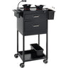 Metal Salon Cart - Mobile Workstation for Professional Tools by Celebrity