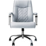 Monaco Customer Chair / Upholstery Grey, Black, Chocolate, Mocha, and Cappuccino by J&A