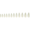 Natural Almond Nail Tips Kit - 300-Piece, Sizes 2-12 by DL Pro