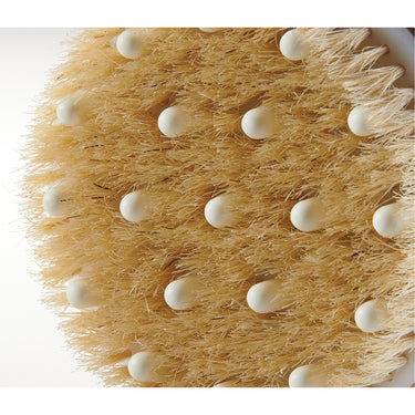 Natural Bristle Body Massage Brush by Fantasea