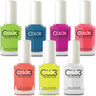 Neon Collection Nail Lacquers / 7 Color Set by Color Club