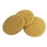 Non-Compressed Sponge / 10 Pack