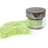 NR Loose Glitter for Nail Art - #LG070 by NuRevolution / 2 oz.