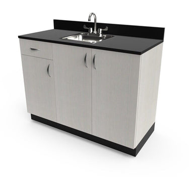 Organizer 48" Sink Cabinet / 48"W x 21"D x 36"H / 50+ Color Choices / Made to Order - Ships in 2-3 Weeks by Collins