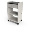 Organizer Salon-Spa Cart / 20"W x 15"D x 34"H / 50+ Color Choices / Made to Order - Ships in 2-3 Weeks by Collins