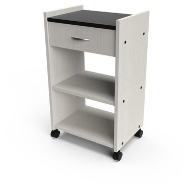 Organizer Salon-Spa Cart / 20"W x 15"D x 34"H / 50+ Color Choices / Made to Order - Ships in 2-3 Weeks by Collins