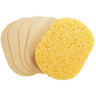 Oval Compressed Sponge / Natural / 24 Pack