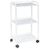 Paragon Facial Trolley (H-10)