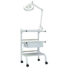Paragon Facial Trolley (H-2)