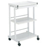 Paragon Facial Trolley (H-8)