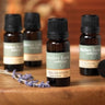 Passion Essential Oil Blend / 10 mL. by Mother Earth