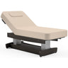 PerformaLift Electric Adjustable Height Spa Table / Lift-Assist Backrest by Oakworks