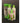 Pet Silk Rainforest Trio Kit
