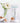 Pharmagel Enzyme Ex-Cell Exfoliate Scrub / 6 oz.