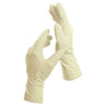 Polyvinyl Gloves / Large / 100