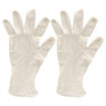 Powder Free Gloves / Box of 100 by ProTool