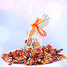 Primal Elements Clownfish Fish in a Bag / 3.5 oz.