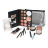 Professional Clear Bag Cosmetic Kit