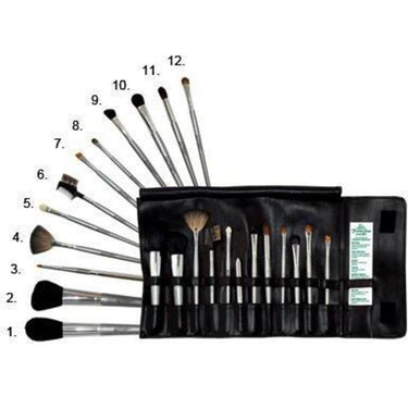 Professional Makeup Brush Set / 12 Brushes