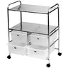 Professional Work Cart with 4 White Storage Drawers by Pibbs