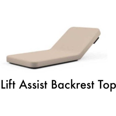 Proluxe Electric Lift Massage Table / Lift-Assist Backrest by Oakworks